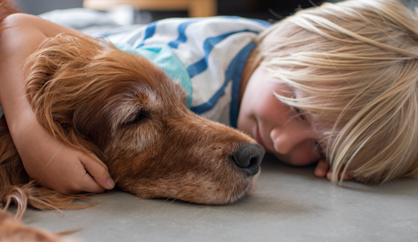 Veterinarian with dog