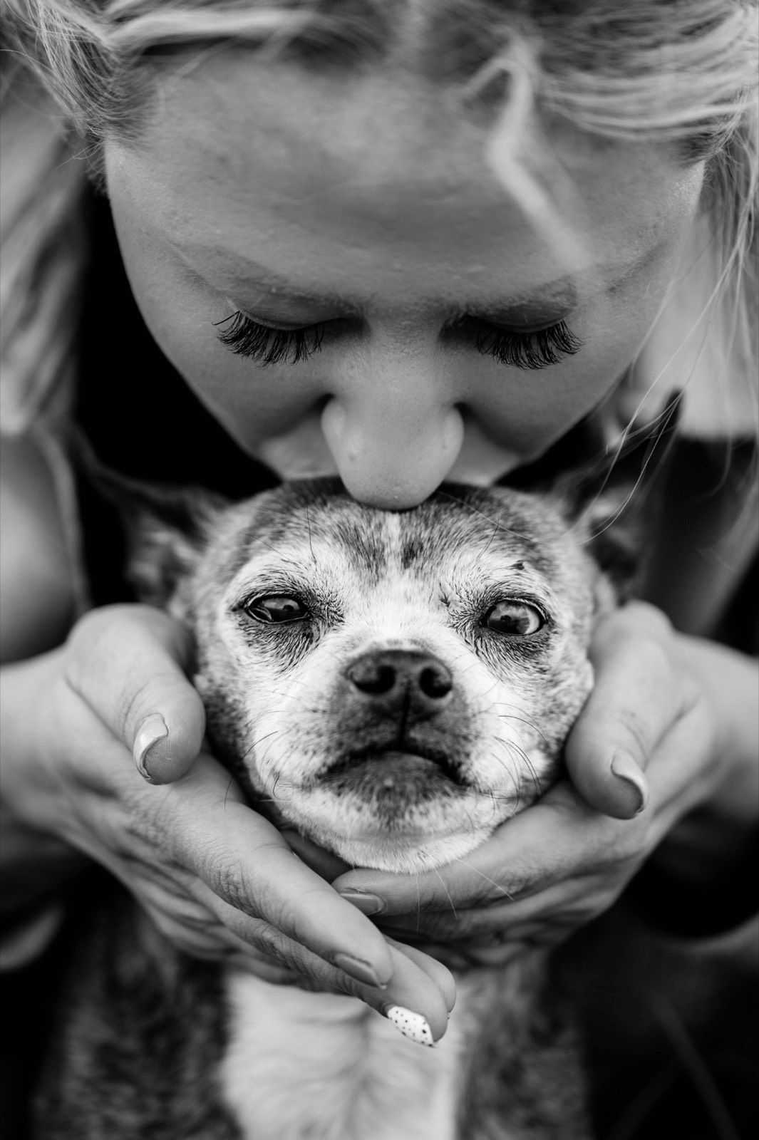 A woman kissing her old dog on the head, holding his face in her hands