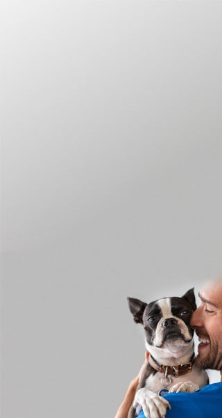 Veterinarian with dog