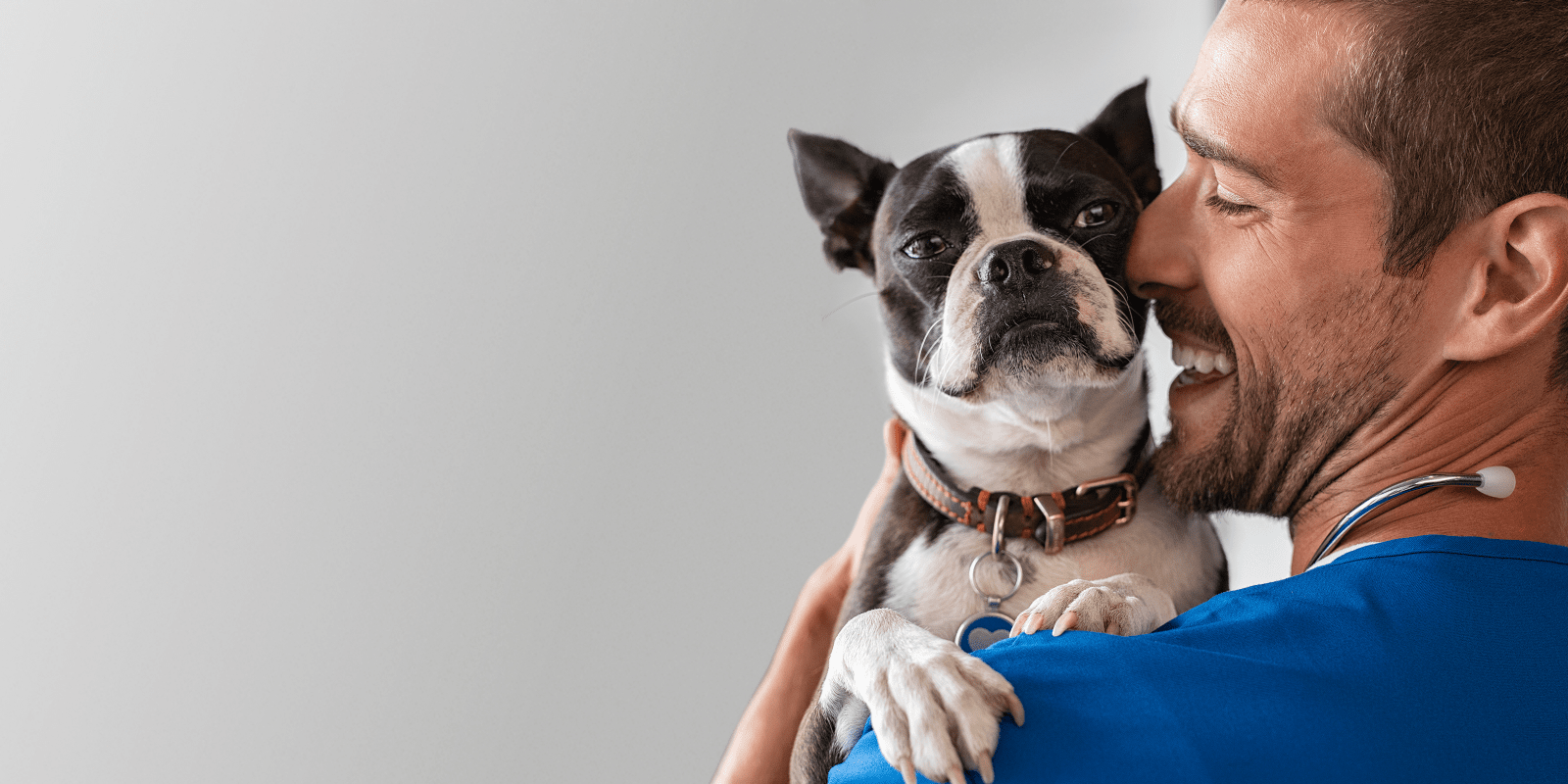 Veterinarian with dog