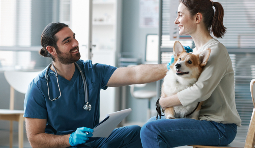 Veterinarian with dog