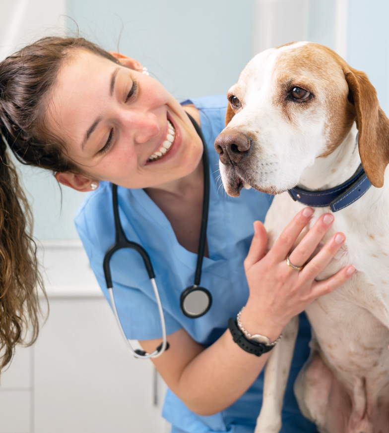 Veterinarian with dog
