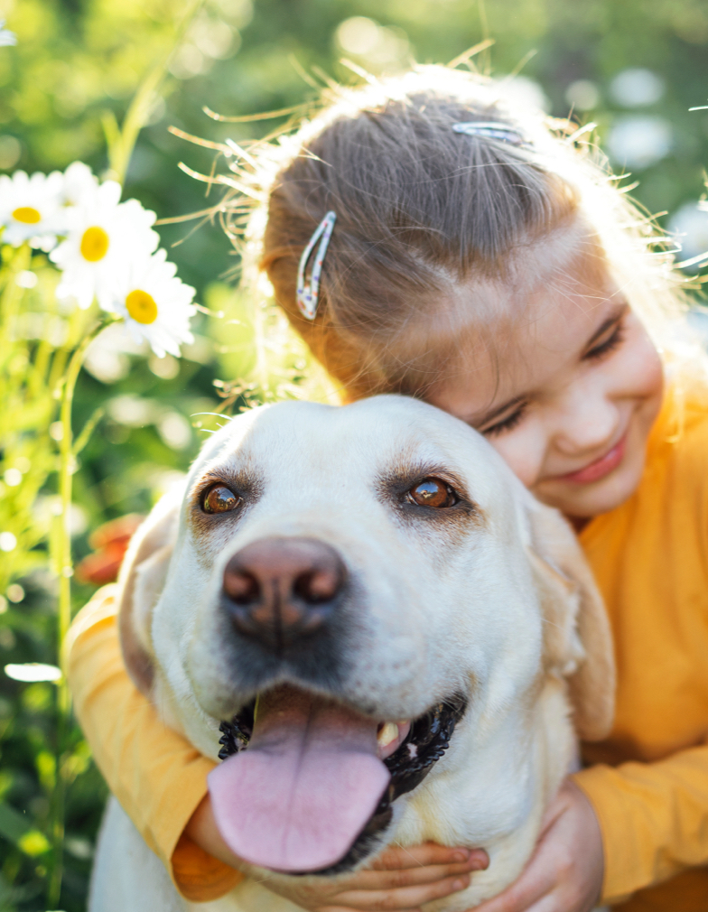 Veterinarian with dog