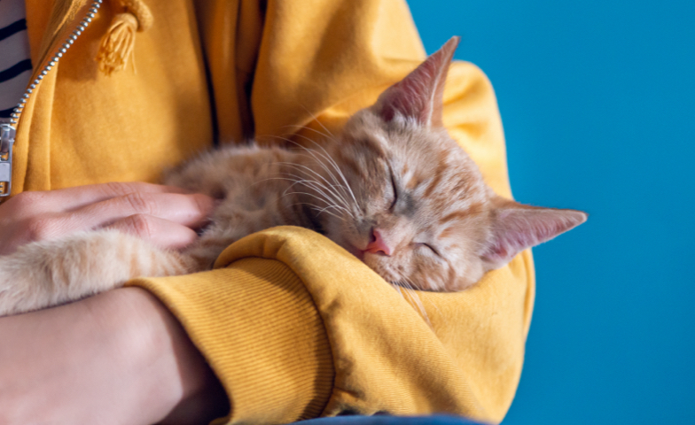 Veterinarian with dog
