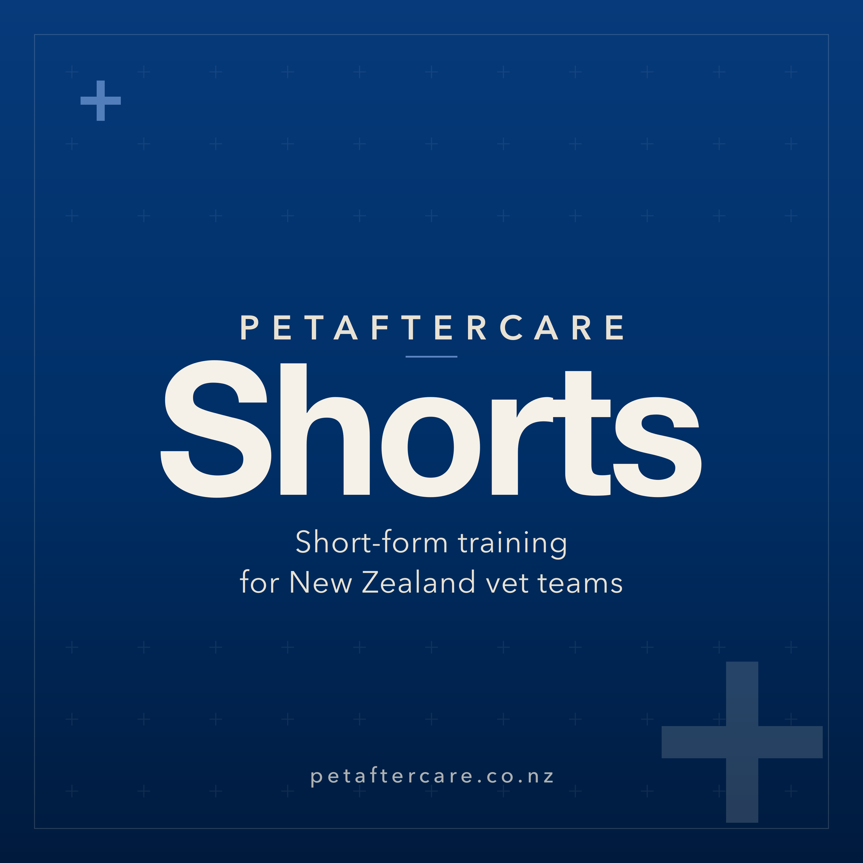 Shorts podcast cover