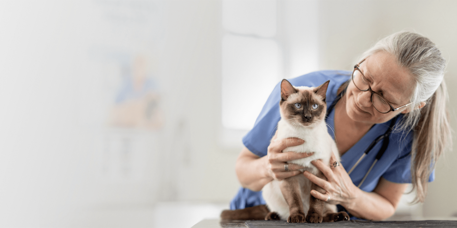 Veterinarian with cat